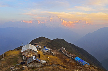 Dhaulagiri Himal seen from Khopra, Annapurna Conservation Area, Dhawalagiri (Dhaulagiri), Western Region (Pashchimanchal), Nepal, Himalayas, Asia