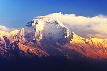 Dhaulagiri Himal seen from Khopra, Annapurna Conservation Area, Dhawalagiri (Dhaulagiri), Western Region (Pashchimanchal), Nepal, Himalayas, Asia