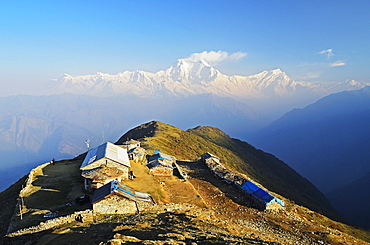 Dhaulagiri Himal seen from Khopra, Annapurna Conservation Area, Dhawalagiri (Dhaulagiri), Western Region (Pashchimanchal), Nepal, Himalayas, Asia