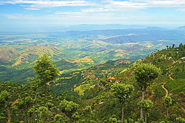 View of tea plantations from Lipton's Seat, Haputale, Sri Lanka, Asia