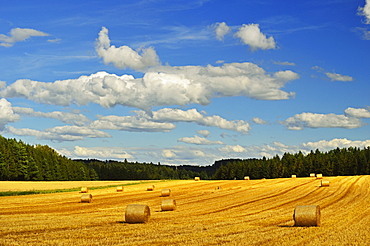 Rural scene, near Villingen-Schwenningen, Black Forest, Schwarzwald-Baar, Baden-Wurttemberg, Germany, Europe