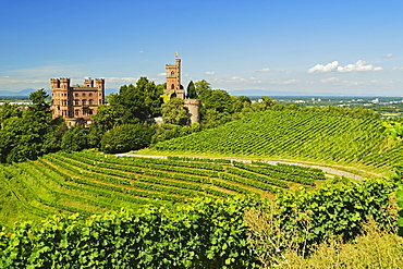 Ortenberg Castle, Ortenberg, Ortenau, Baden-Wurttemberg, Germany, Europe