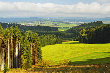 View of forest and Breitenberg in the distance, Bavaria, Germany, Europe