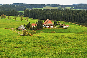 Black Forest Farmhouse, near Neukirch, Black Forest, Baden-Wurttemberg, Germany, Europe