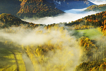 View from Eichfelsen of the Donautal (Danube Valley), near Beuron, Baden-Wurttemberg, Germany, Europe