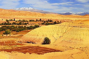 View of High Atlas mountains, Ait-Benhaddou, Morocco, North Africa, Africa