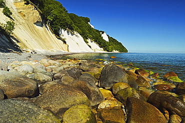 Chalk cliffs, Jasmund National Park, Ruegen Island (Rugen Island), Mecklenburg-Vorpommern, Germany, Baltic Sea, Europe 