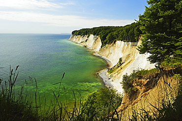 Chalk cliffs, Jasmund National Park, Ruegen Island (Rugen Island), Mecklenburg-Vorpommern, Germany, Baltic Sea, Europe 