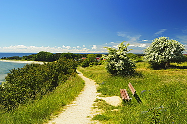 Rural scene near Thiessow, Moenchgut, Ruegen Island (Rugen Island), Mecklenburg-Vorpommern, Germany, Baltic Sea, Europe 