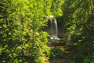 Scheidegg Waterfalls Nature Park, Scheidegg, Bavaria, Germany, Europe 