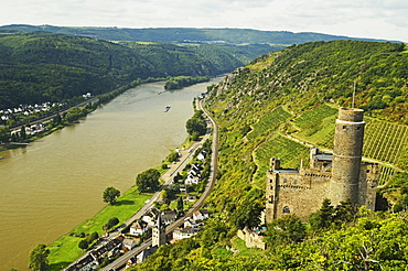 Castle Maus and River Rhine, Rhineland-Palatinate, Germany, Europe