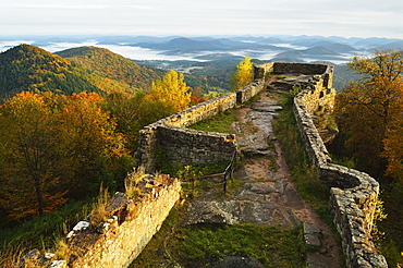 Wegelnburg castle, Palatinate Forest, Rhineland-Palatinate, Germany, Europe