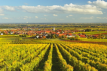 Vineyard landscape and Maikammer village, German Wine Route, Rhineland-Palatinate, Germany, Europe