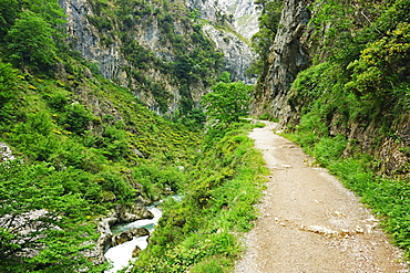 Footpath through the Desfiladero del Rio Cares, Picos de Europa, Parque Nacional de los Picos de Europa, Asturias, Cantabria, Spain, Europe