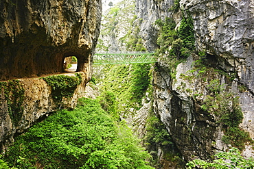 Footpath through the Desfiladero del Rio Cares, Picos de Europa, Parque Nacional de los Picos de Europa, Asturias, Cantabria, Spain, Europe