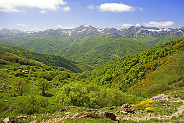 Fuente De, Picos de Europa, Parque Nacional de los Picos de Europa, Asturias, Cantabria, Spain, Europe