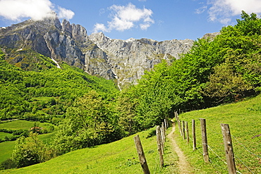 Fuente De, Picos de Europa, Parque Nacional de los Picos de Europa, Asturias, Cantabria, Spain, Europe