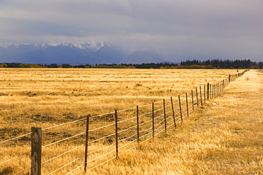 Pasture, Burke Pass, Canterbury, South Island, New Zealand, Pacific