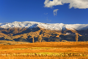 Farmland and Dunstan Range, Manuherikia Valley, Central Otago, South Island, New Zealand, Pacific