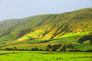 Pasture and hills, Southland, South Island, New Zealand, Pacific