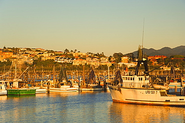 Marina, Coffs Harbour, New South Wales, Australia, Pacific