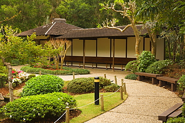 Detail of Japanese Garden, Botanic Garden, Brisbane, Queensland, Australia, Pacific