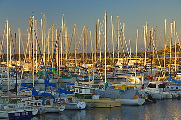 Marina, Coffs Harbour, New South Wales, Australia, Pacific