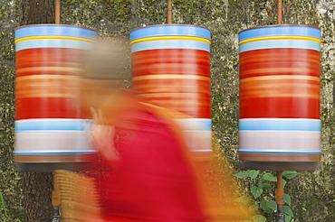 Buddhist monk passing prayer wheels, McLeod Ganj, Dharamsala, Himachal Pradesh state, India, Asia