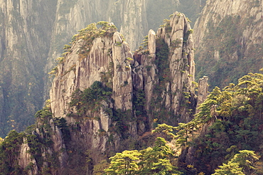 Rocks and pine trees, White Cloud scenic area, Huang Shan (Yellow Mountain), UNESCO World Heritage Site, Anhui Province, China, Asia