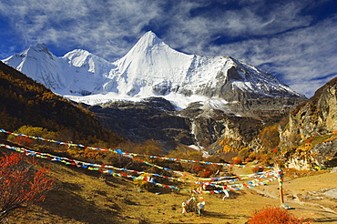 Yangmaiyong, Yading Nature Reserve, Sichuan Province, China, Asia