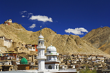 Jami Masjid mosque, Leh, Ladakh, Indian Himalaya, India, Asia