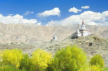 Chorten, Indus Valley, Ladakh, Indian Himalayas, India, Asia