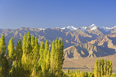 Indus Valley and Stok-Kangri massif, Leh, Ladakh, Indian Himalayas, India, Asia