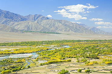 Indus Valley and Ladakh Range, Tikse (Tiksay), Ladakh, Indian Himalayas, India, Asia