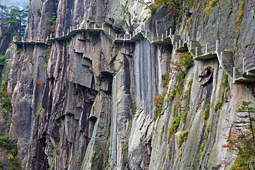 Footpath along rock face, Xihai (West Sea) Valley, Mount Huangshan (Yellow Mountain), UNESCO World Heritage Site, Anhui Province, China, Asia