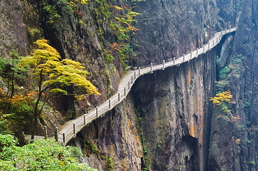 Footpath along rock face, Xihai (West Sea) Valley, Mount Huangshan (Yellow Mountain), UNESCO World Heritage Site, Anhui Province, China, Asia