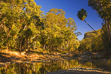 Carnarvon Creek, Carnarvon Gorge, Carnarvon National Park, Queensland, Australia, Pacific