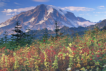 Landscape, Mount Rainier National Park, Washington state, United States of America, North America