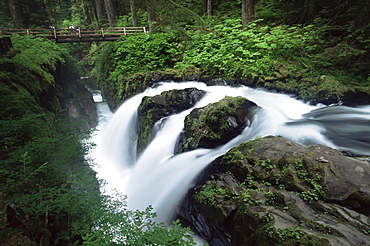 Sol Duc Falls, Olympic National Park, UNESCO World Heritage Site, Washington state, United States of America, North America