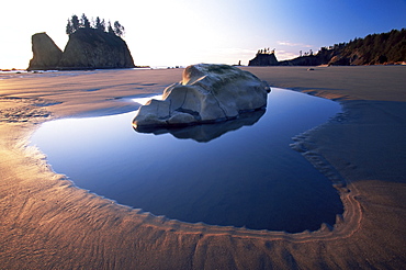 Second Beach, Olympic National Park, UNESCO World Heritage Site, Washington state, United States of America, North America