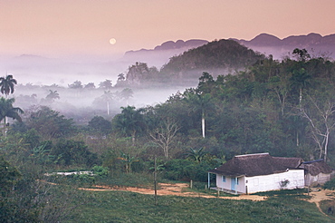 Vinales, Cuba, West Indies, Central America