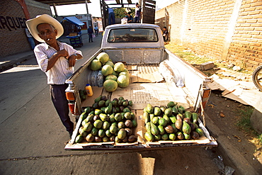 Avocado vendor, Comayagua, Honduras, Central America