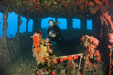 Diver inside Bridge of Maldive Victory Wreck, North Male Atoll, Maldives