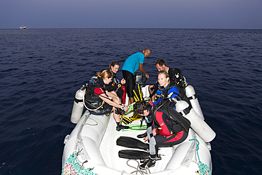 Scuba Diver in Zodiac, Red Sea, Egypt