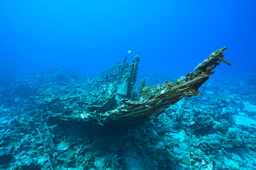 Bow of Heaven One Wreck, Abu Dabab, Red Sea, Egypt