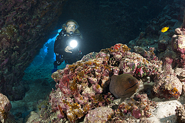 Scuba Diver inside Cave, Pseudanthias squamipinnis, Paradise Reef, Red Sea, Egypt