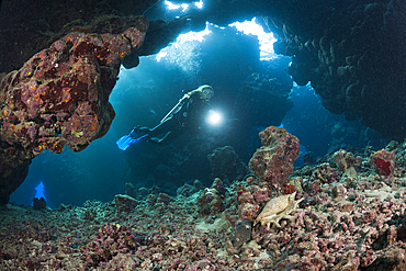 Scuba Diver inside Cave, Paradise Reef, Red Sea, Egypt