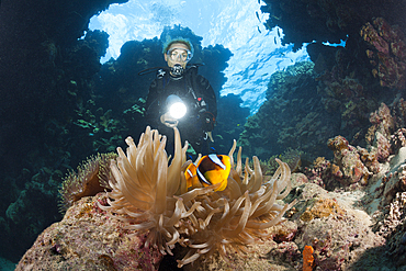 Scuba Diver inside Cave, Paradise Reef, Red Sea, Egypt