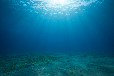 View to Surface from Underwater, Marsa Alam, Red Sea, Egypt