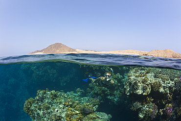 Skin Diving in Red Sea, Zabargad, Red Sea, Egypt